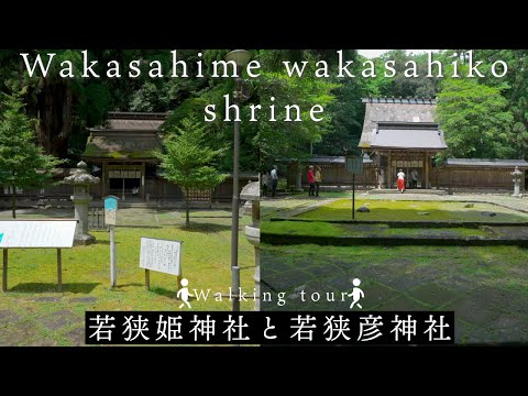 [4KHDR]Walking tour Wakasahime Shrine and Wakasahiko Shrine[Japan] 散策 若狭姫神社と若狭彦神社 [福井県]