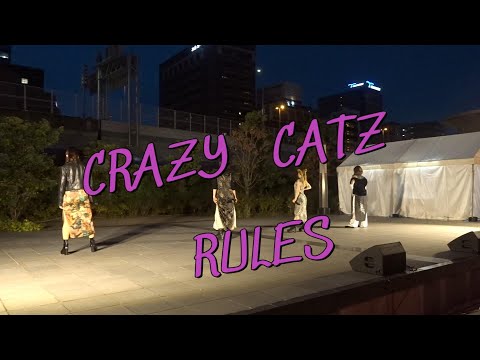 CRAZY  CATZ   　　　　 RULES   　  /　オリジナル　　　２４・１１・１０