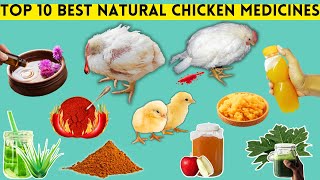 TOP 10 BEST NATURAL CHICKEN MEDICINES | HERBAL TREATMENTS FOR THE MOST COMMON CHICKEN DISEASES