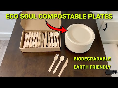 🌱 Eco Soul Compostable Paper Plates ~ The Ultimate Earth-Friendly Choice!