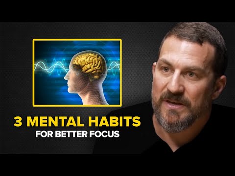 Neuroscientist: How to Increase Focus and Productivity | Andrew Huberman