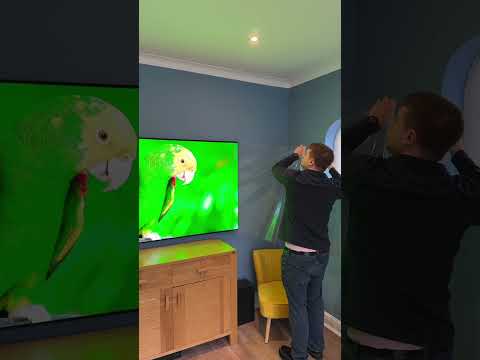 77” OLED GREEN SCREEN 4K Test / Screen Peel! #oled #screenpeel #tv