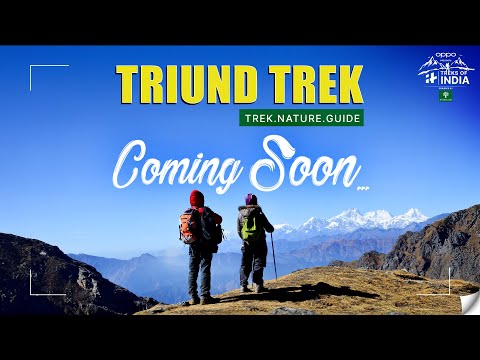 Triund Trek | Mcleodganj | Treks Of India EP 3 - Teaser