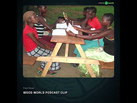 It Changed EVERYTHING w/ Glen Chapman and Wood-Mizer in the Congo #lumber #woodworking #podcast