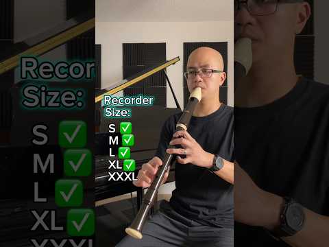 TINY VS GIGANTIC RECORDER #recorder #musician