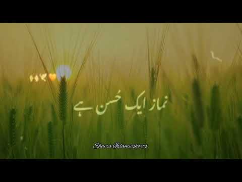 Namaz 🥀 | Islamic WhatsApp Status |