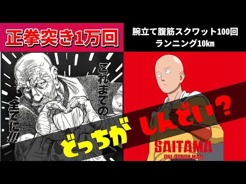 【修行】ネテロの『感謝の正拳突き1万回』vs サイタマの『ハードトレーニング』　頭悪いのはどっち？【実際にやってみた】