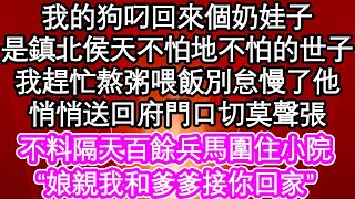 我的狗叼回來個奶娃子，是鎮北侯府天不怕地不怕的世子，我趕忙熬粥喂飯別怠慢了他，悄悄送回府門口切莫聲張，不料隔天百餘兵馬圍住小院，“娘親我和爹爹接你回家”| #為人處世#生活經驗#情感故事#養老#退休