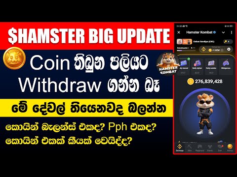 Hamster Kombat Big Update | Hamster Kombat Coins Withdrawal