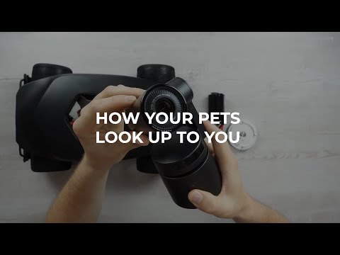 How do your pets look up to you? OBSBOT Turtle will tell you!