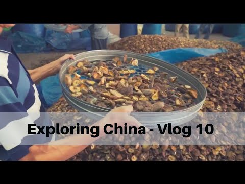 Mushroom Market - China Vlog 10