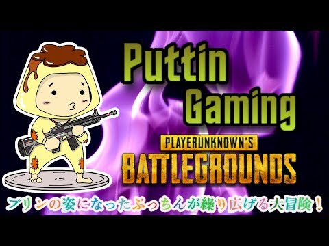 【PUBG】特性味噌ネギチャーシュー大盛＋ほうれん草＋ライス大盛