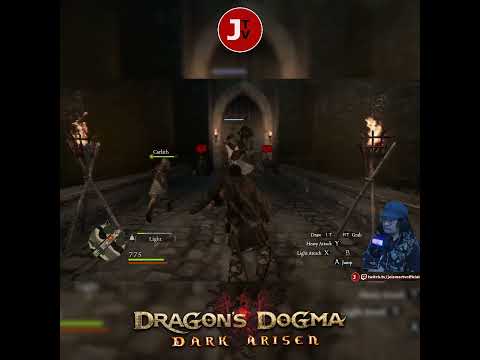 I really don't like escort quest. #dragonsdogmadarkarisen #capcom