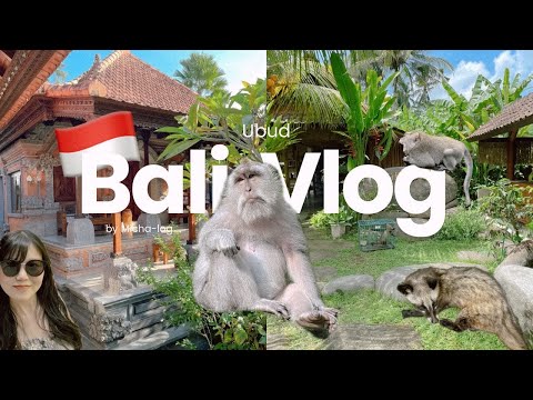 【🇮🇩Bali】雨季真っ只中の4泊6日バリ旅行Vlog🍹｜レンタルバイクでウブド観光🛵｜ヴィラ🏡｜超高級ジャコウネココーヒー☕️｜