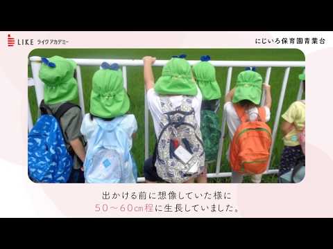 寺家ふるさと村に稲の生長を見に出かけたたいよう組(5歳)＠青葉台