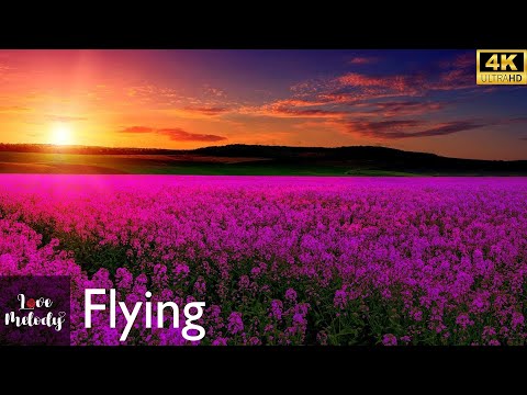 Flying (Audio)