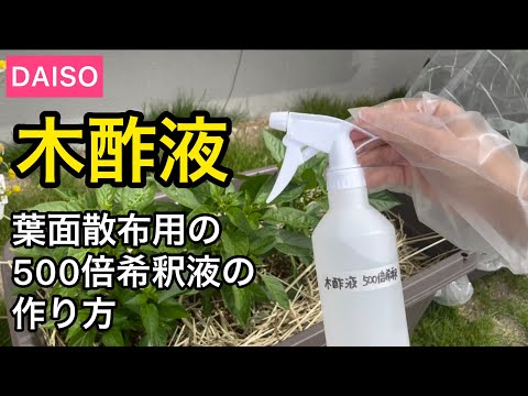 【ダイソー】木酢液/葉面散布用の500倍希釈液の作り方