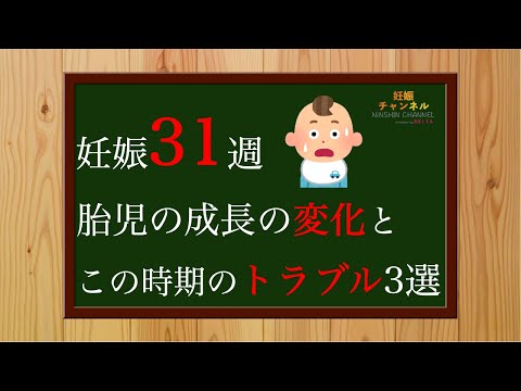 【妊娠31週】外の音が聞こえる！31週胎児の様子とこの時期のトラブル