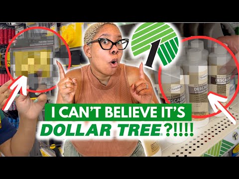 NEW *MindBlowing*  Home Finds at Dollar Tree Summer 2024 - Better Than Amazon Prices!