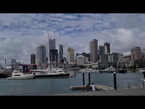 STROLLING AROUND AUCKLAND VIADUCT HARBOUR