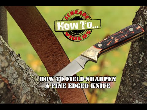 How to Keep Your Knife Razor Sharp in The Field