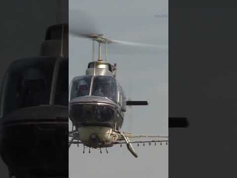 Helicopter Bell 206B spraying flight/ヘリコプター散布#helicopter spraying