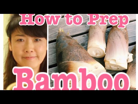 How to Prepare and Cook Fresh Bamboo Shoots at Home