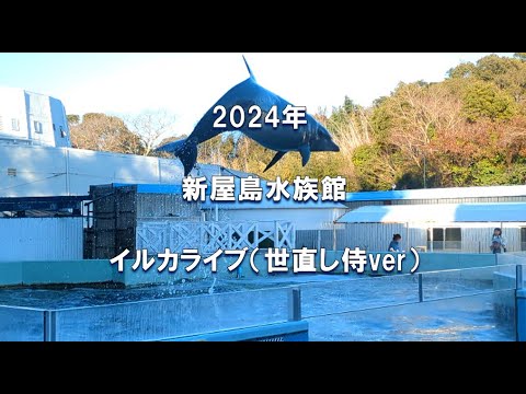 「新屋島水族館」イルカライブ（世直し侍ver)