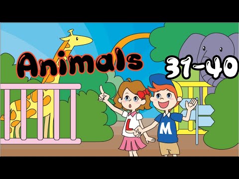 Easy Reading Practice for kids | 80 Animals 31-40