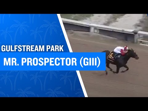 2024 $165,000 Mr. Prospector Stakes (G3) at Gulfstream Park