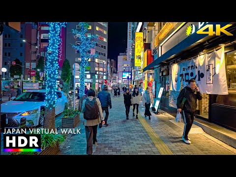 Japan - Tokyo Ikebukuro evening walk • 4K HDR