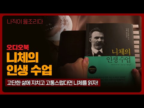 니체의 인생 수업｜오디오북｜책읽어주는남자｜책 추천｜잠들기 전｜수면ASMR｜인문학