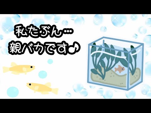 水換え中に、親バカっぷりww