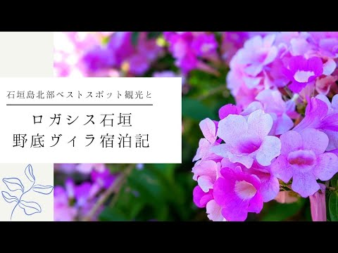 石垣島北部ベストスポット観光とロガシス石垣野底ヴィラ宿泊記2021.11