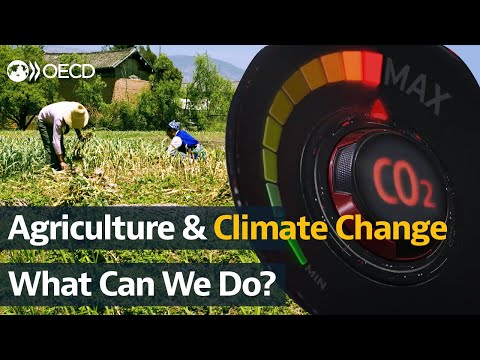 Agriculture and climate change. What's the issue, and what can policymakers do?