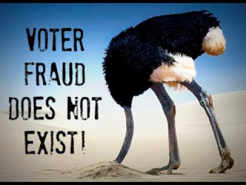 Tucker Carlson - The Beneficiaries of Voter Fraud