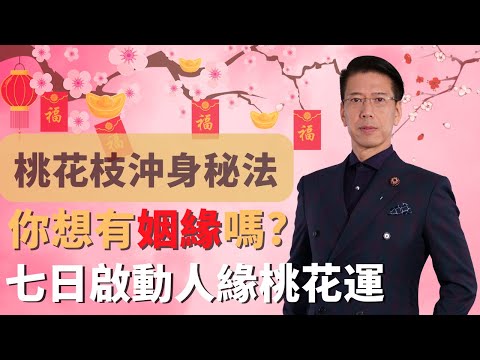 【桃花枝沖身秘法】七天啟動人緣桃花運!新年限定秘法!馬上脫單有姻緣,吸引貴人客戶簽單!提昇人際關係及事業,大受男女歡迎的改運法![聲師傅教室](中字)