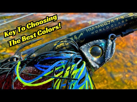 The Most Important Factor In Choosing the Correct Fishing Lure Color!