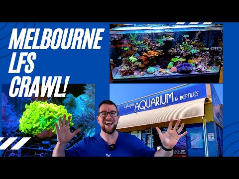 Lifestyle Aquariums Road Trip!