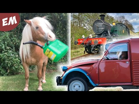 Manes, Trains and Automobiles - (Cute & Funny Ponies Compilation)