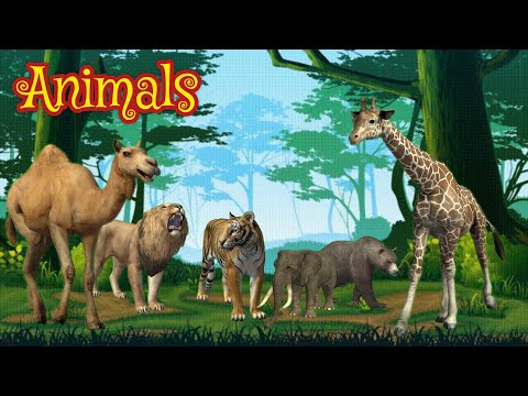 Animals | |Urdu cartoon story |Animated story |Urdu kahaniyaan | Moral Story