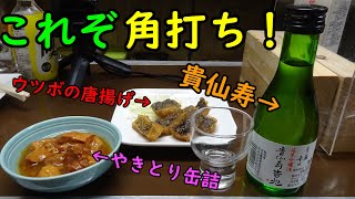 これぞホンマ物の角打ちですね！　＃天下茶屋 ＃桝屋酒店 ＃角打ち