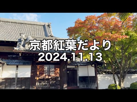 【11/13京都紅葉】南禅寺・永観堂・平安神宮・加茂川・嵐山