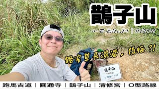 【鵲子山】小百岳No.84｜礁溪富士山｜跑馬古道好風景｜清修宮原始路徑｜4K