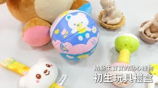 Toyroyal樂雅【初生玩具禮盒】新生彌月送禮推薦 (No.4782)