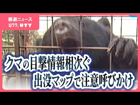 「今はクマが冬眠に入る前」目撃情報が過去最多　先週は負傷者も