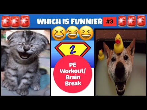 PhysEdZone: "Which is Funnier" PE Workout 3 | Brain Break