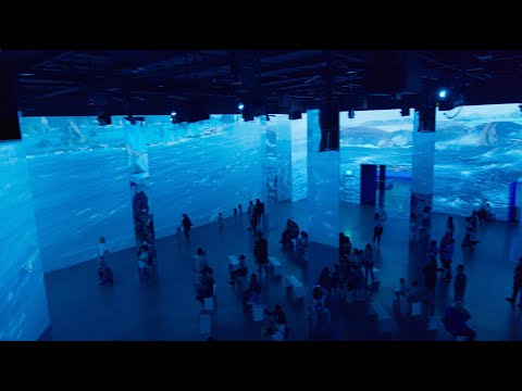 The Art of "Avatar: The Way of Water" - An Immersive Experience