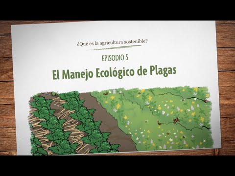 ¿Qué es la agricultura sostenible? Episodio 5: El Manejo Ecológico de Plagas