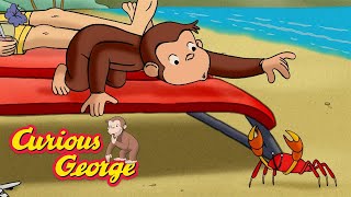 Vacation Chaos! 🐵 Curious George 🐵 Kids Cartoon 🐵 Kids Movies